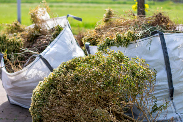 Best Office Junk Removal  in South Bend, IN