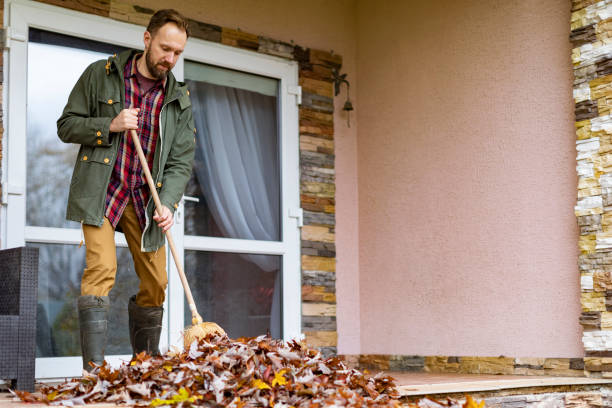 Best Professional Junk Removal  in South Bend, IN